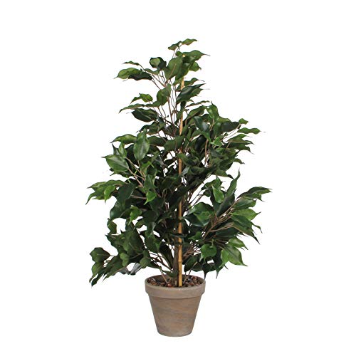 mica-decorations-artificial-plants-ficus-vert-65-cm image 6