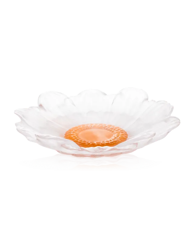 daum-or-d-abeille-fleur-pr-sentation-blanche-moyen-mod-le image 1