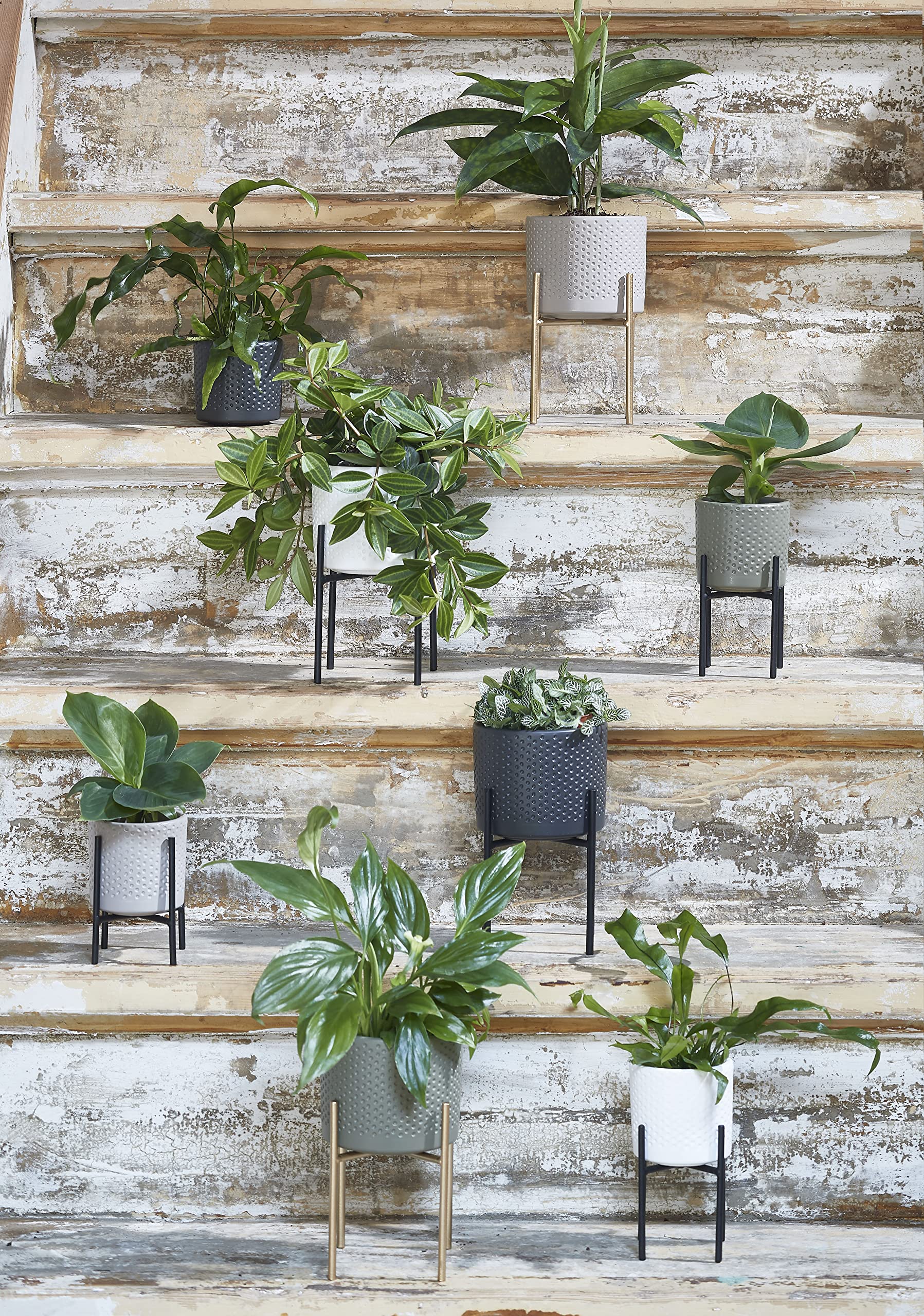mica-decorations-era-pot-rond-fleurs-1057339 image 5