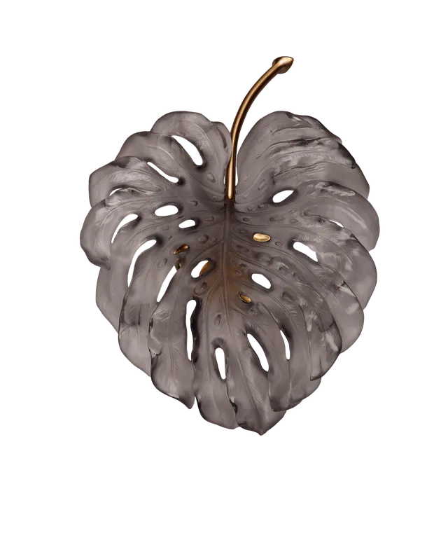 daum-monstera-applique-petit-mod-le-grise-robba image 1