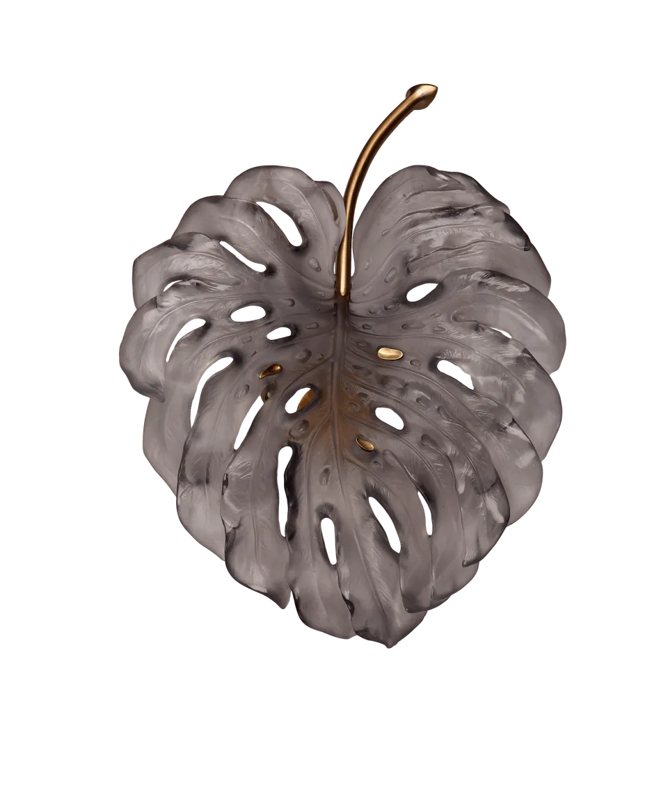 daum-monstera-applique-petit-mod-le-grise-robba image 1