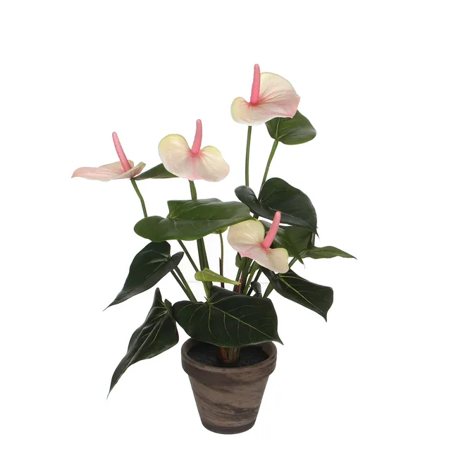 mica-decorations-anthurium-fleur-artificielle-rose-40-cm-en-pot image 1