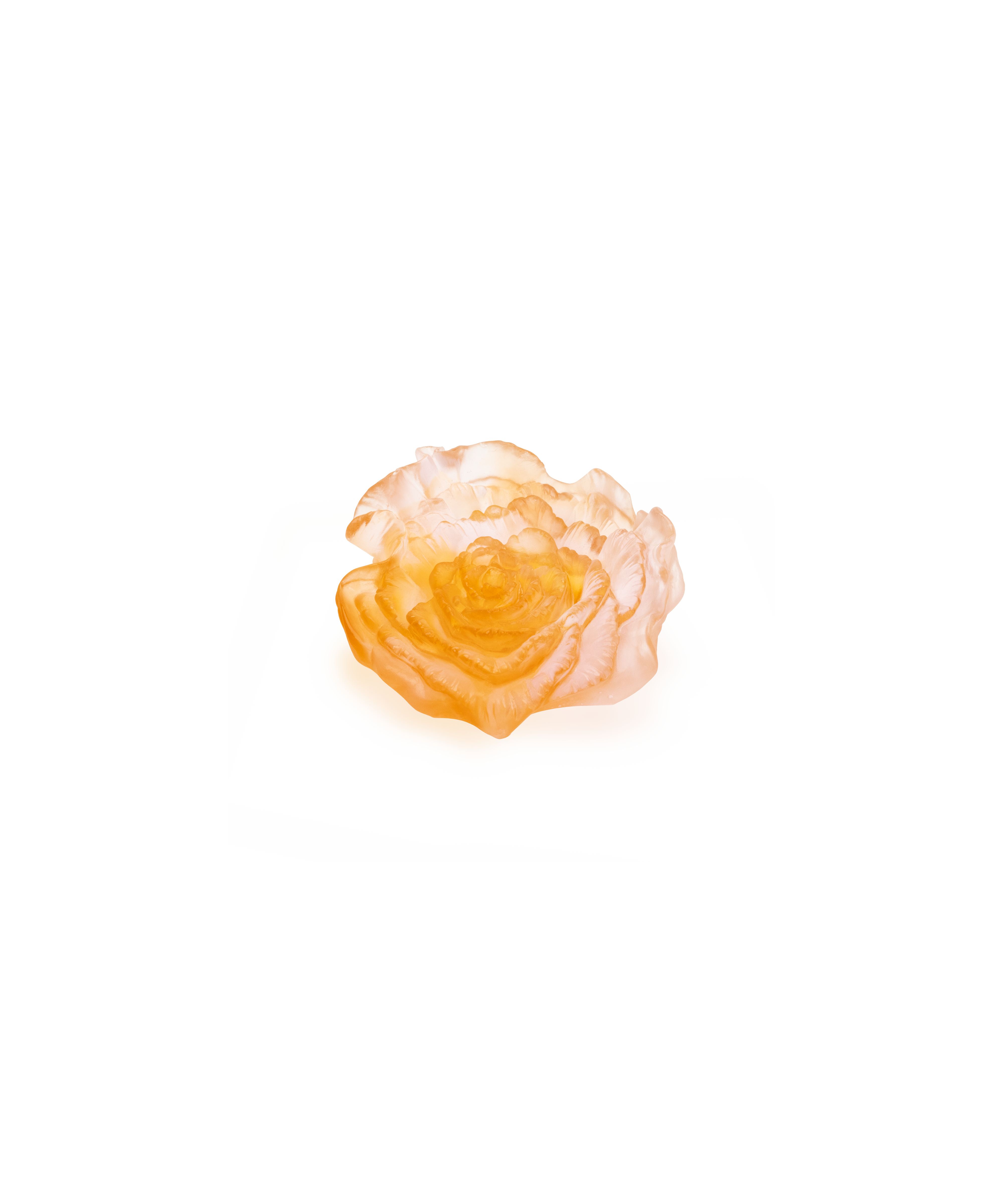 daum-rose-royale-fleur-d-corative-cristal-l-gante image 1