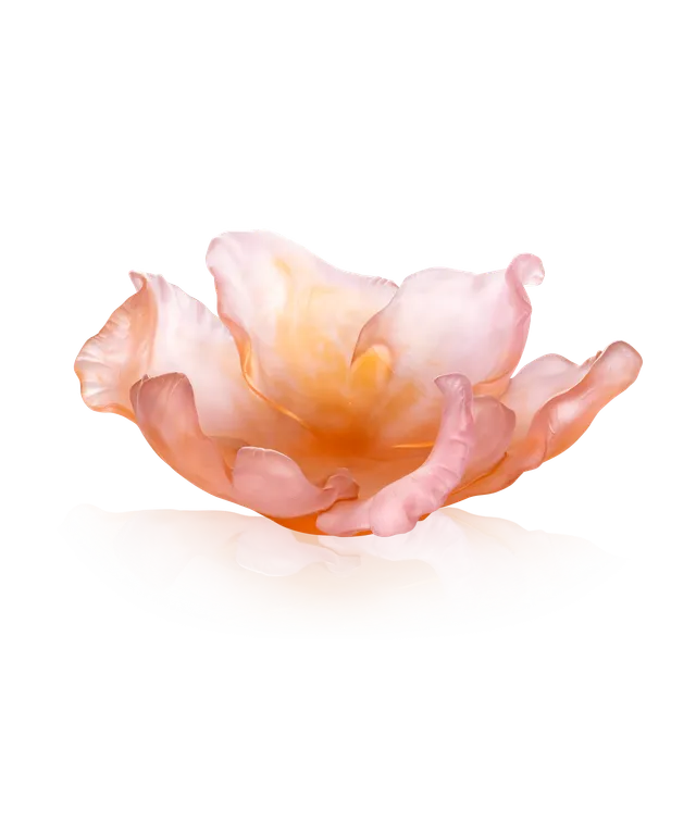 daum-univers-v-g-tal-tulipe-coupe-ambre-rose-99-ex image 1