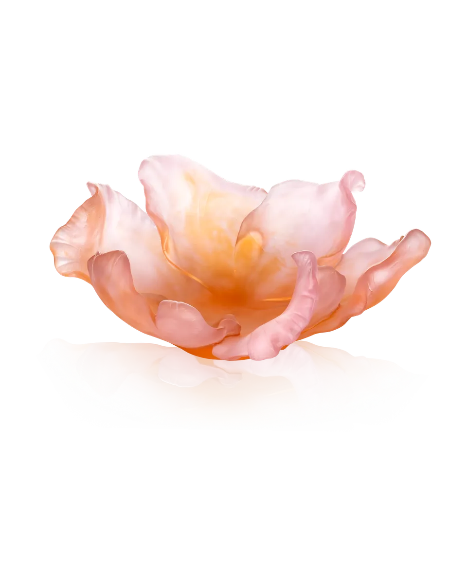 daum-univers-v-g-tal-tulipe-coupe-ambre-rose-99-ex image 1