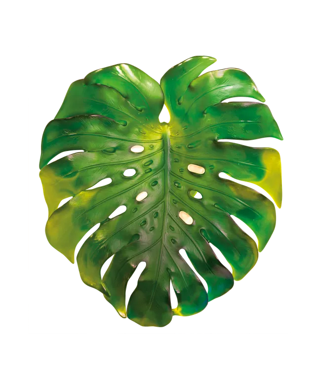 daum-monstera-feuille-murale-verte-emilio-robba image 1