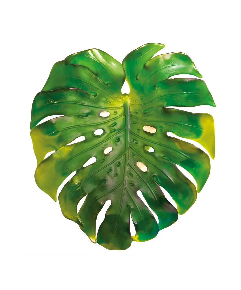 daum-monstera-feuille-murale-verte-emilio-robba image 1