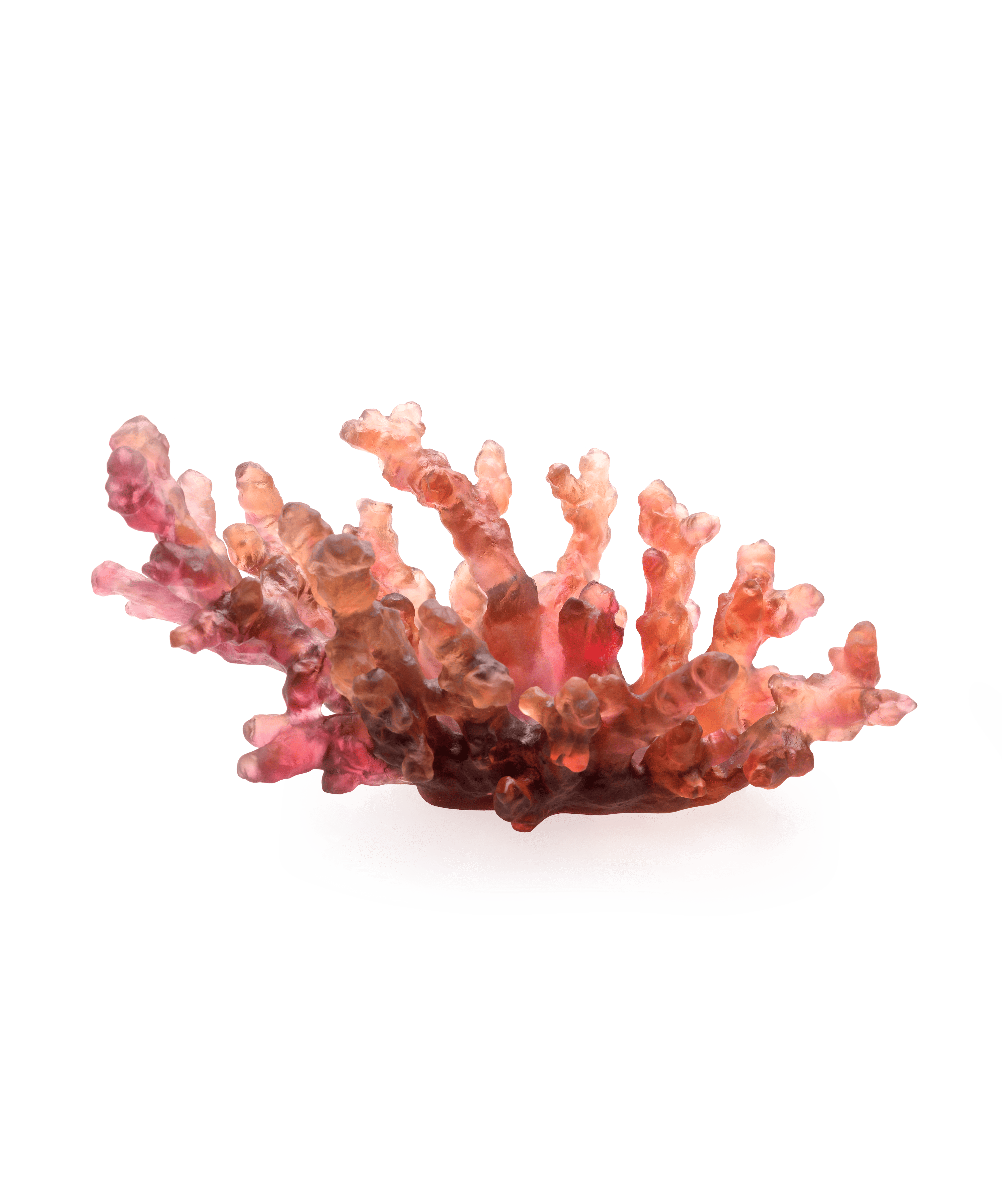 daum-mer-de-corail-coupe-moyen-mod-le-ambre-rouge-p-te-de-verre image 1