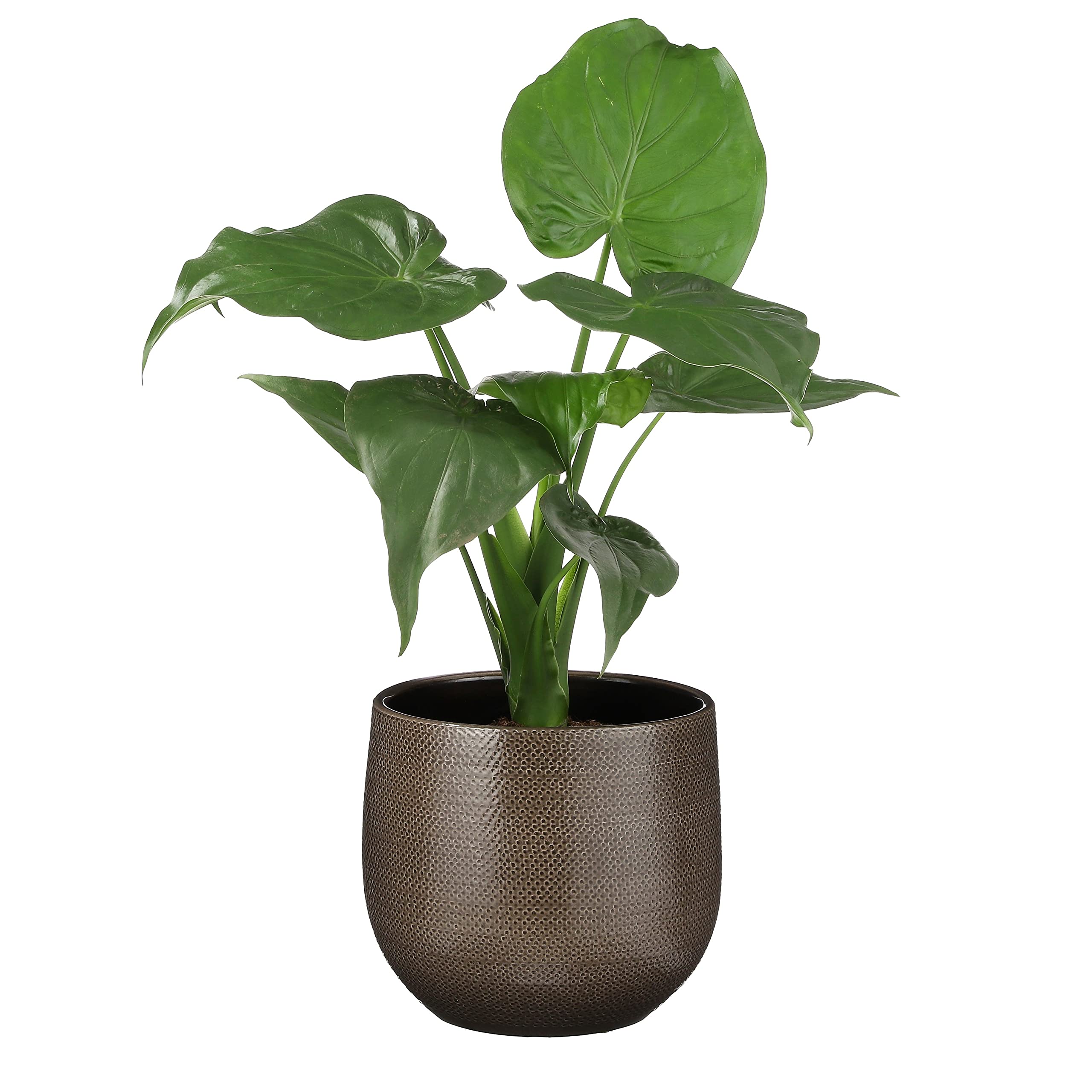 mica-decorations-gabriel-cache-pot-c-ramique-gris-25-cm-h-20-cm image 3
