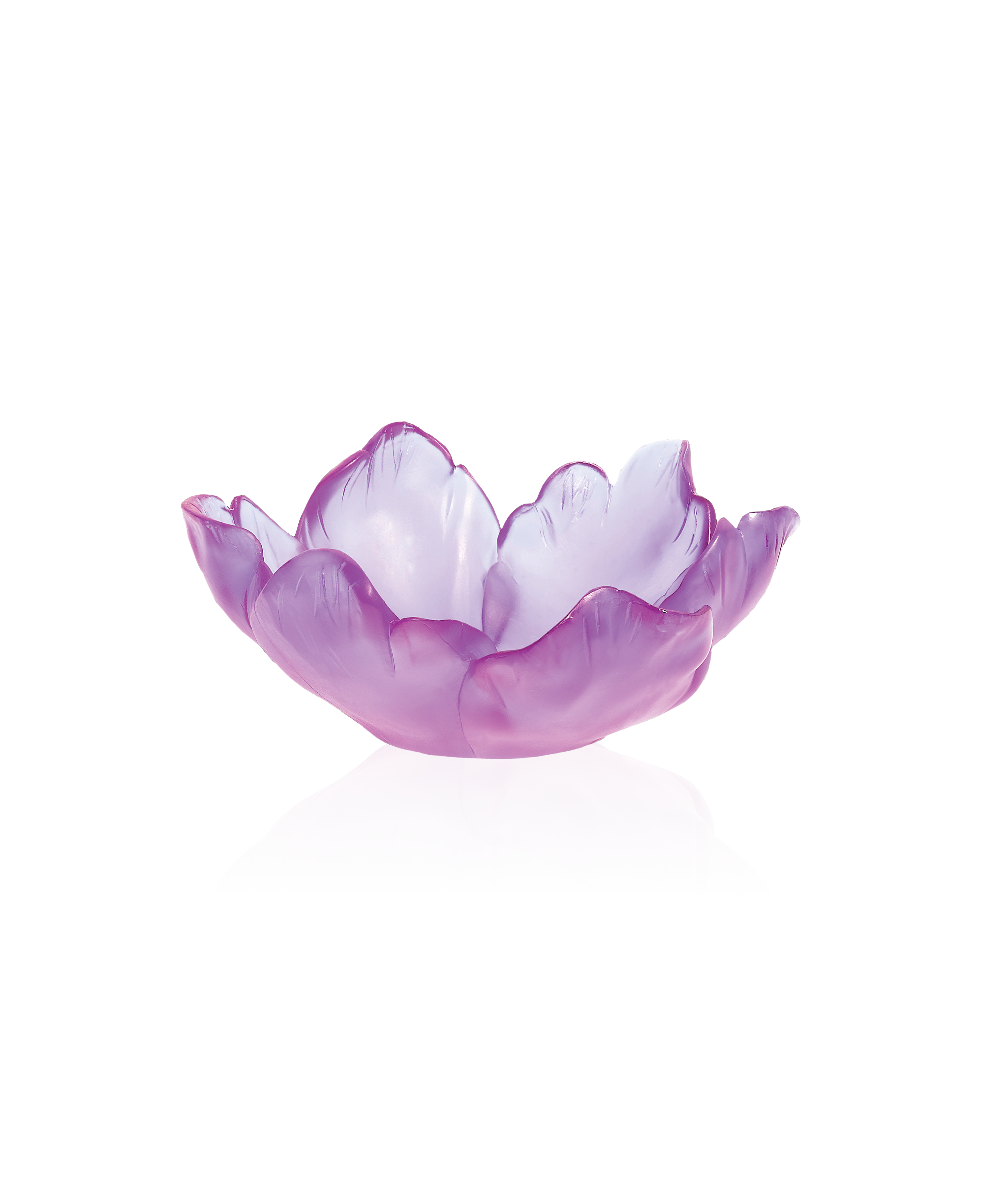 daum-tulipe-coupelle-ultraviolet-cristal image 1