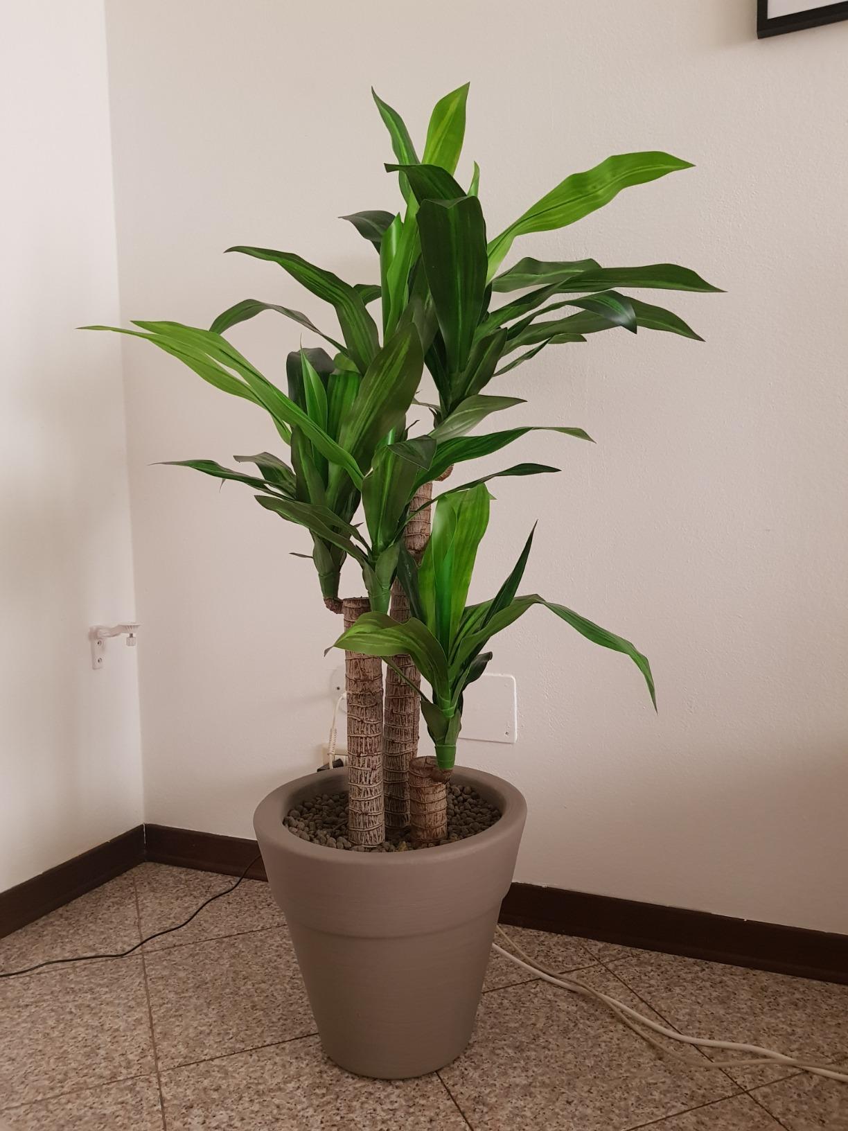 Pot stable