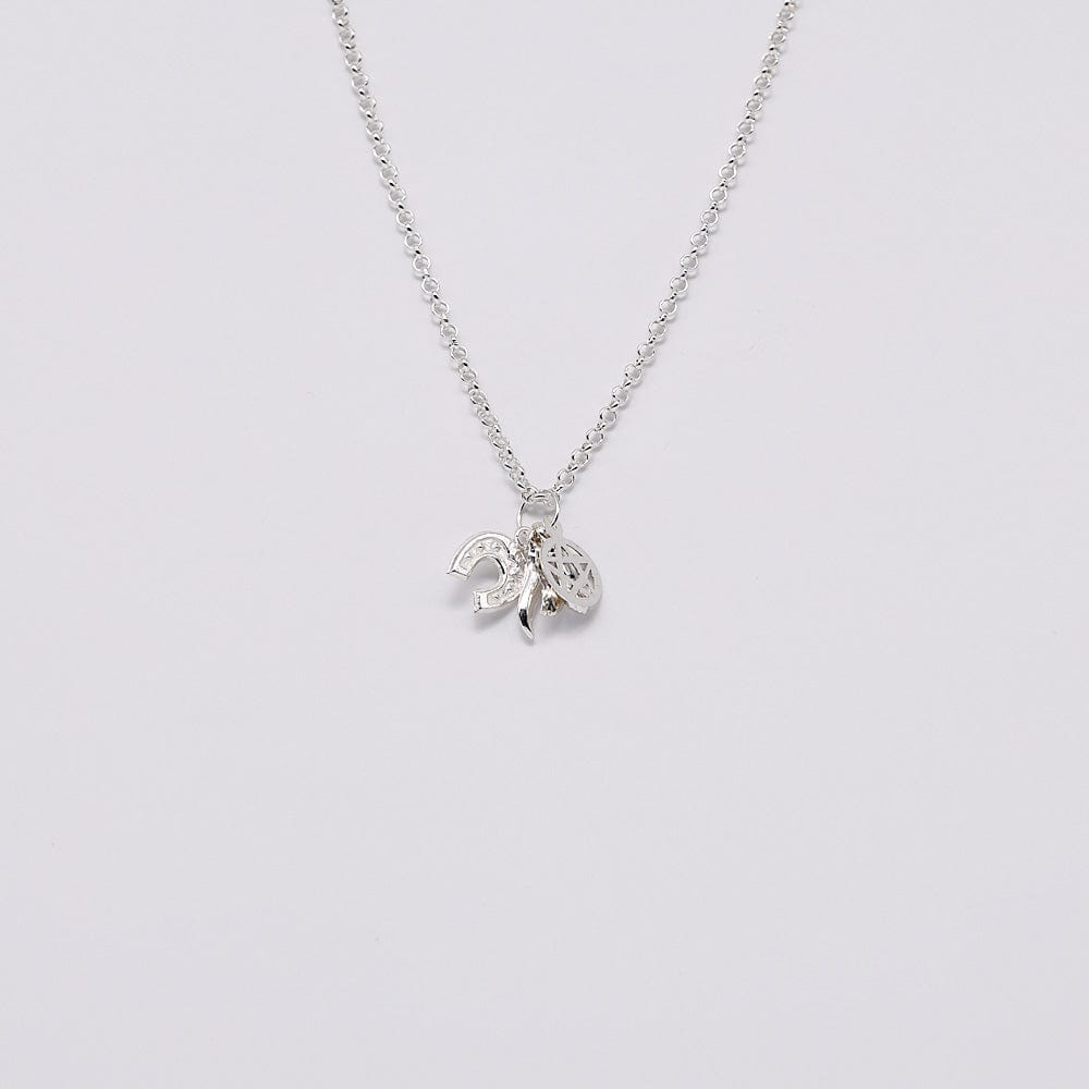 luisa-paix-o-ensemble-5-charms-argent-porte-bonheur image 1