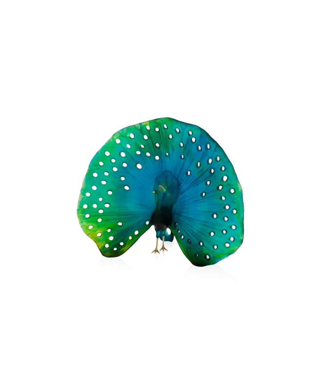 daum-univers-animalier-parade-du-paon-sculpture-cristal-50-ex image 1