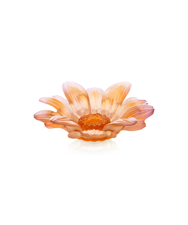 daum-or-d-abeille-fleur-pr-sentation-petit-mod-le image 1