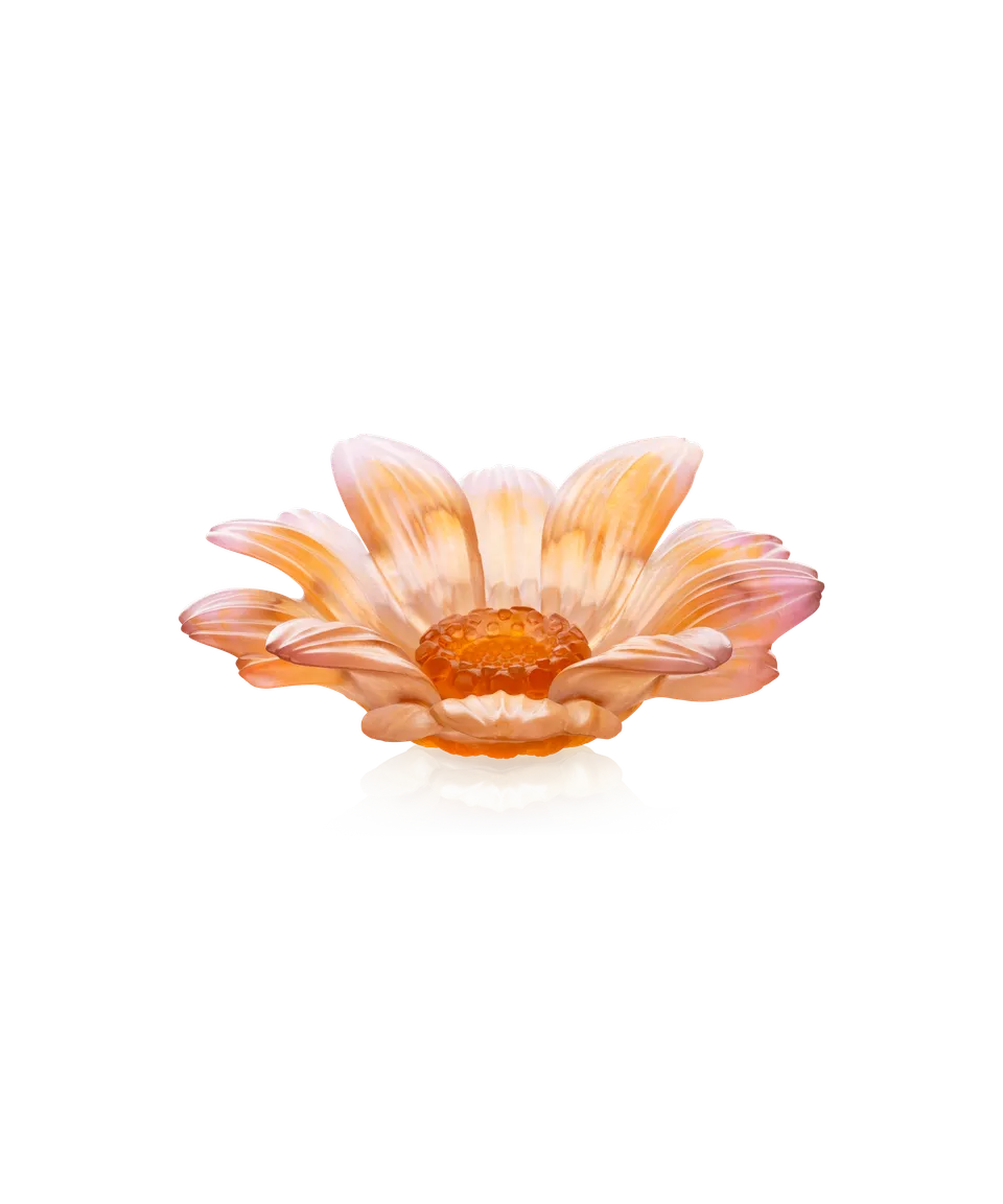 daum-or-d-abeille-fleur-pr-sentation-petit-mod-le image 1