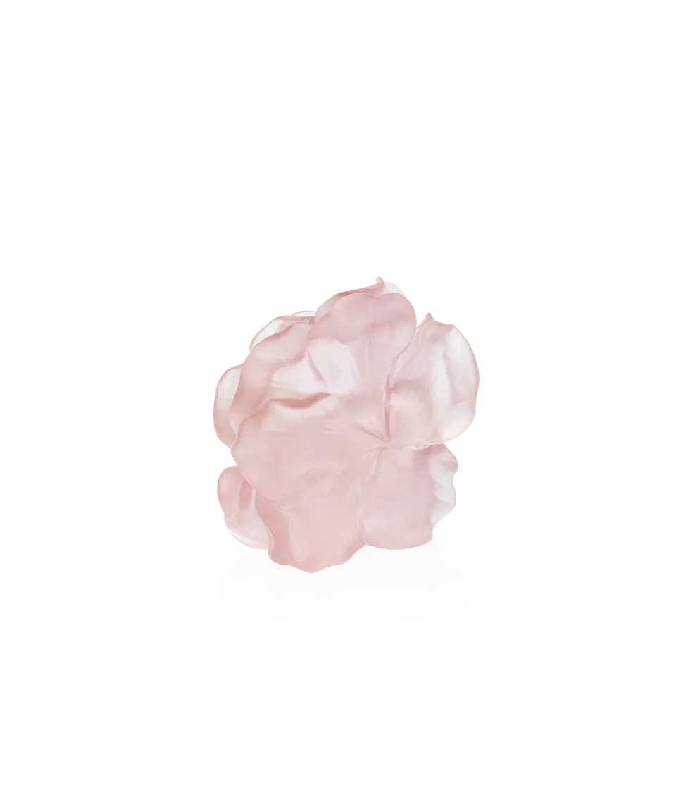 daum-univers-v-g-tal-camelia-fleur-d-corative-rose image 1