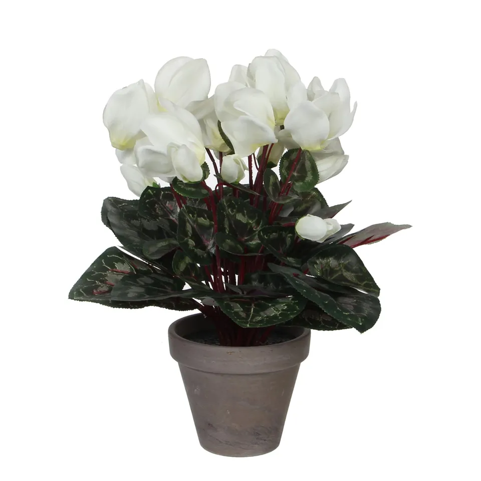 mica-decorations-cyclamen-blanc-artificiel-pot-30-cm image 1