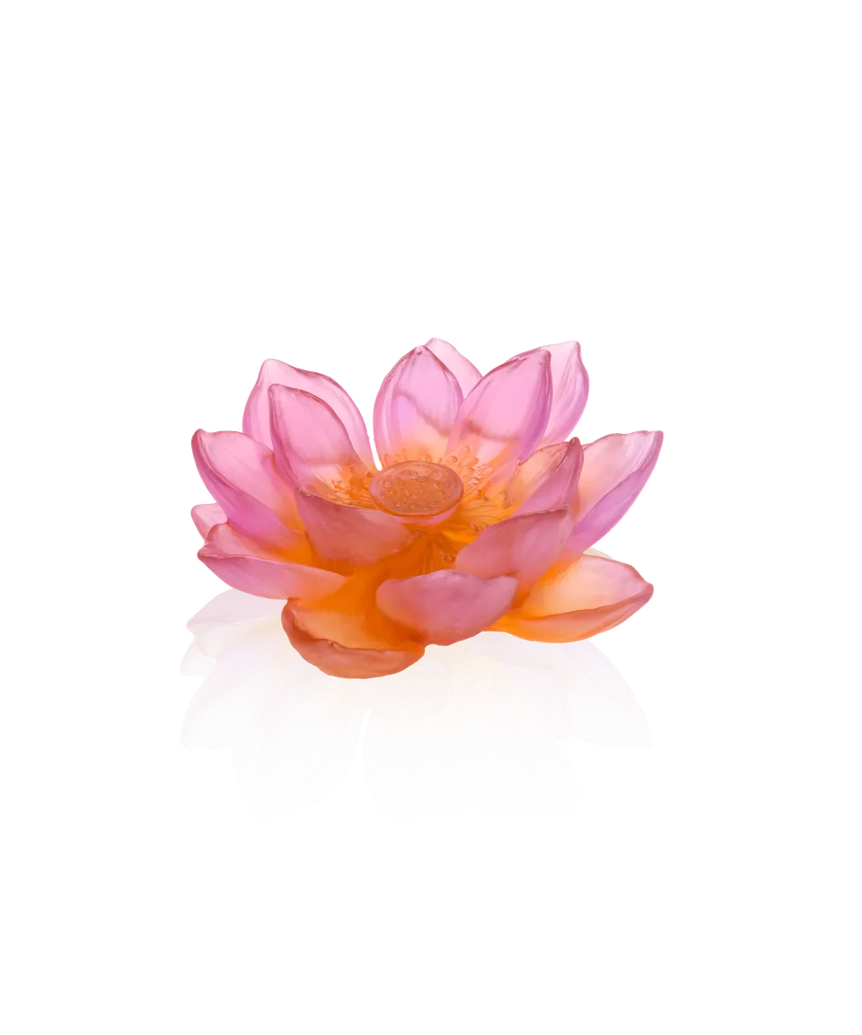 daum-jardin-de-lotus-fleur-ambre-rose-cristal image 1
