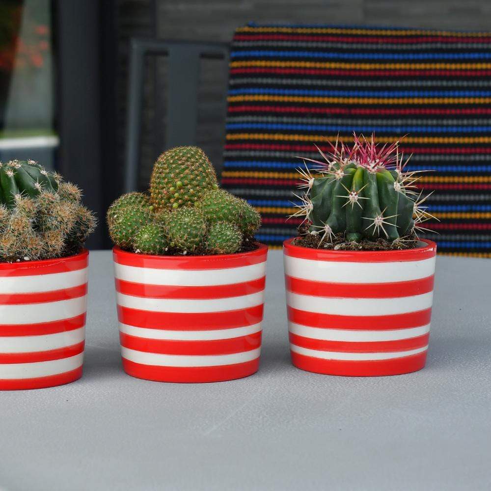 luisa-paix-o-costa-nova-ensemble-3-pots-c-ramique-rouge image 5