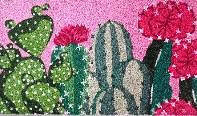 baroni-home-tessile-casa-paillasson-coco-cactus-rose-70x40-cm image 1