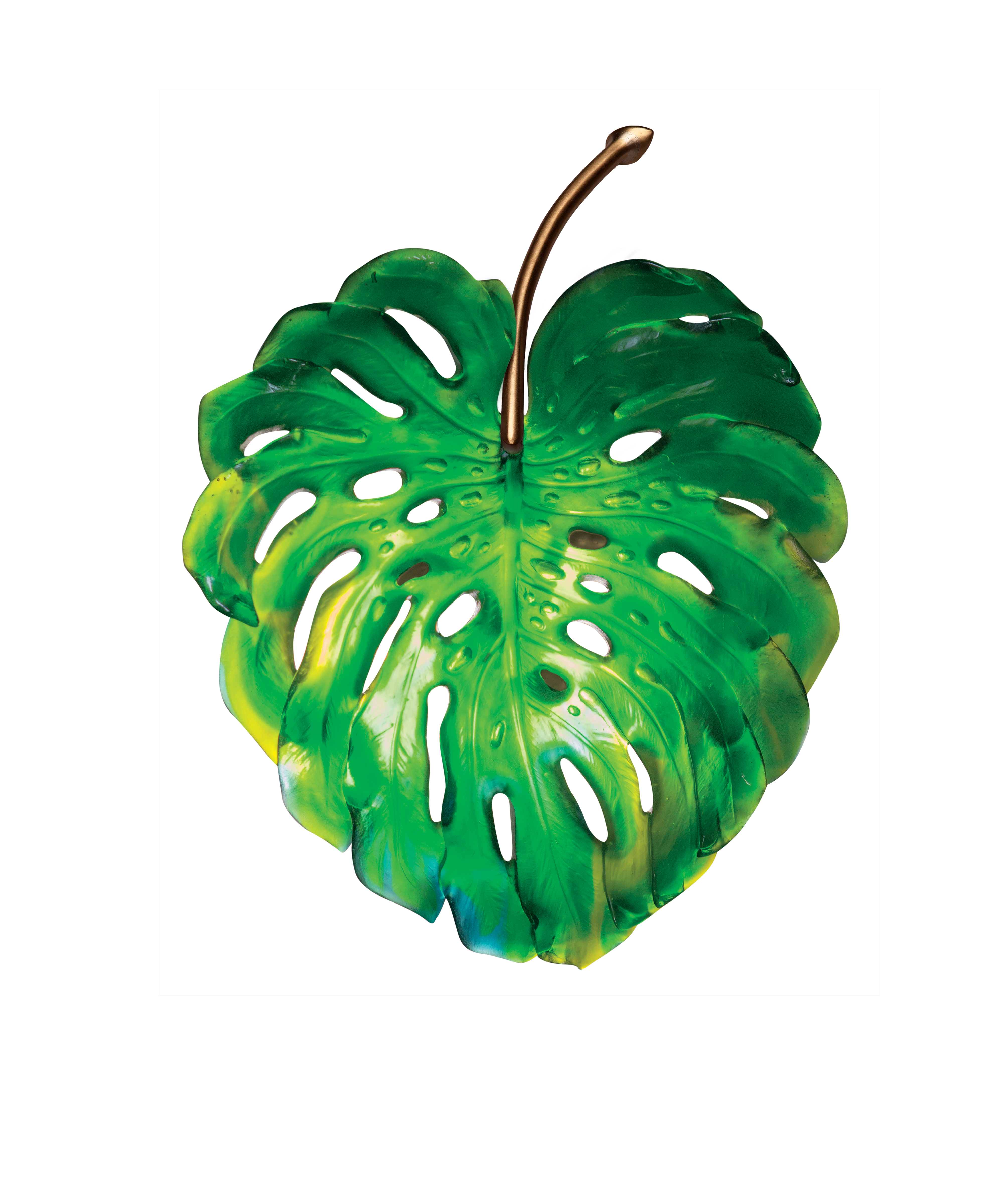 daum-univers-v-g-tal-monstera-applique-verte-petit-mod-le image 1