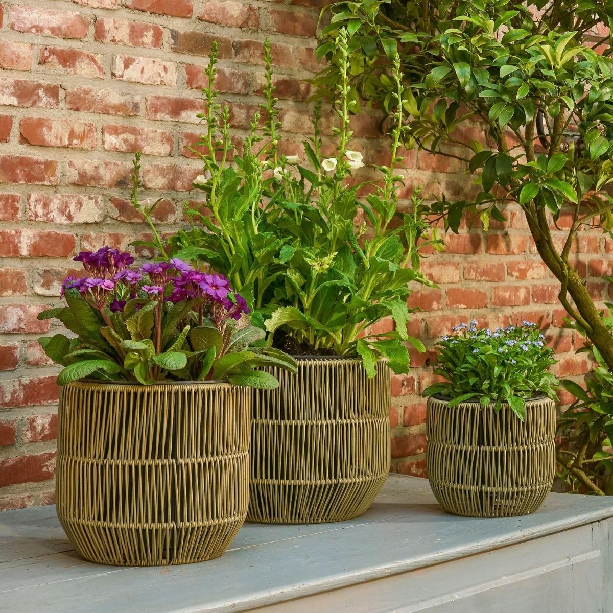 mica-decorations-peta-lot-de-3-pots-de-fleurs-vert-ext-rieur image 8