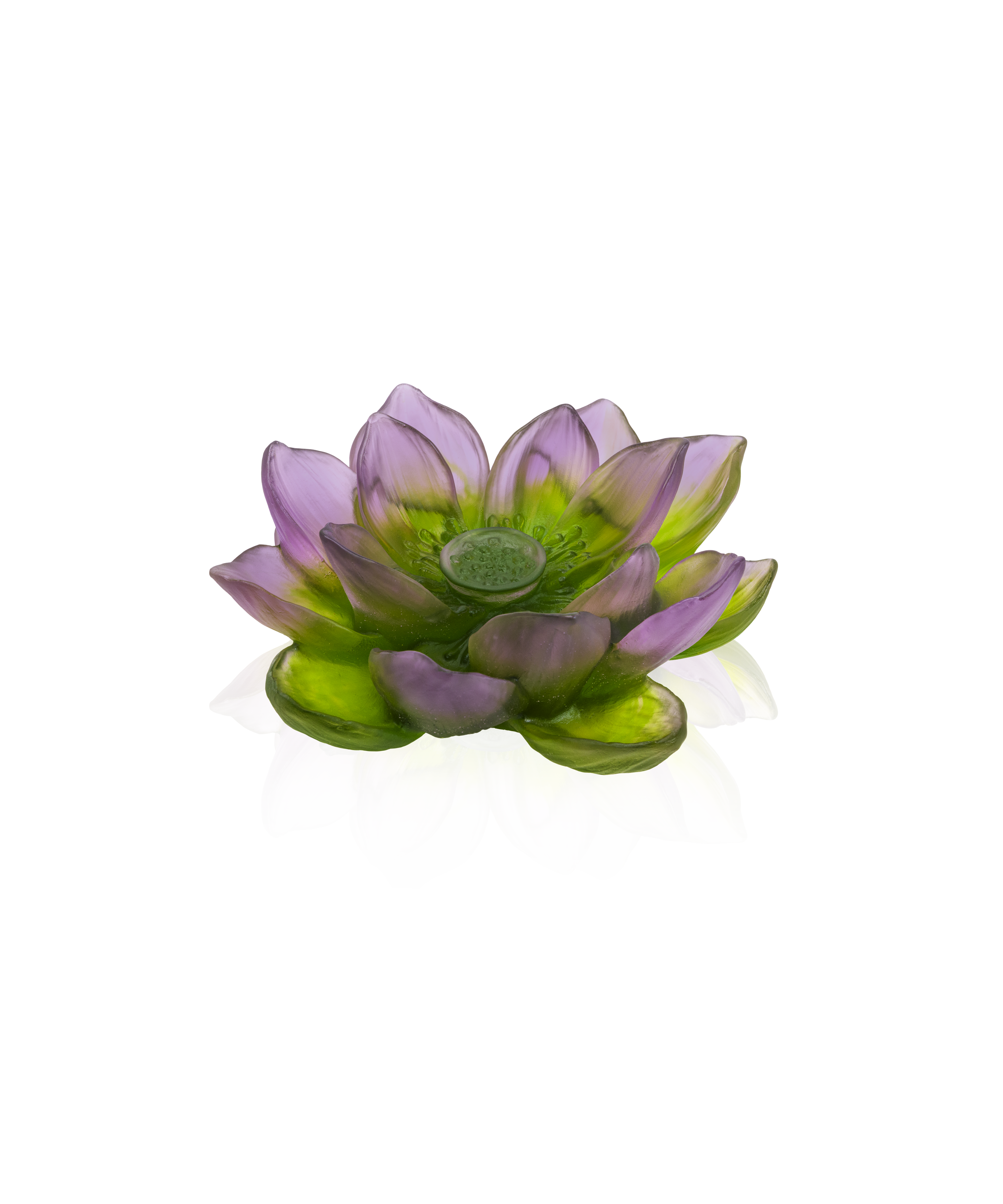 daum-jardin-de-lotus-fleur-d-corative-violet-vert image 1