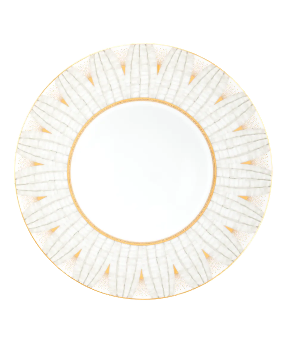 daum-art-de-la-table-or-d-abeille-coffret-2-assiettes-creuses-porcelaine image 1