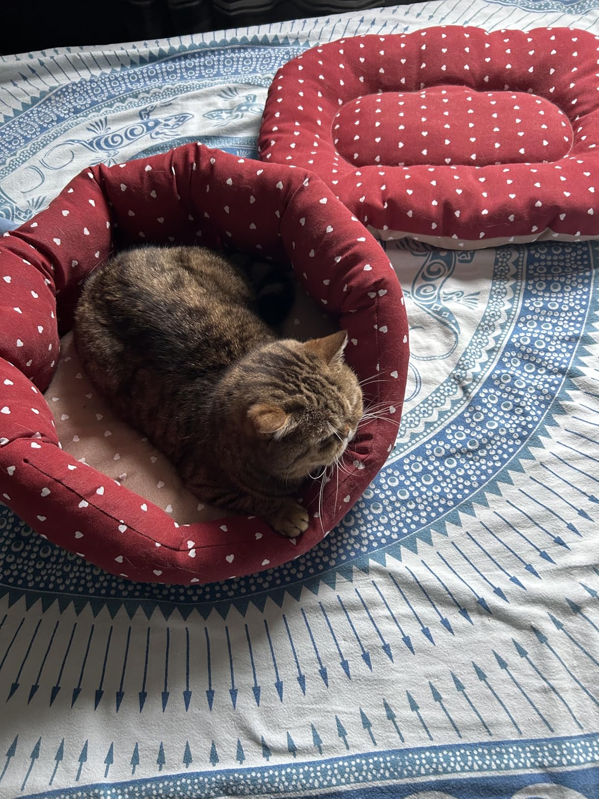 Coussin pratique