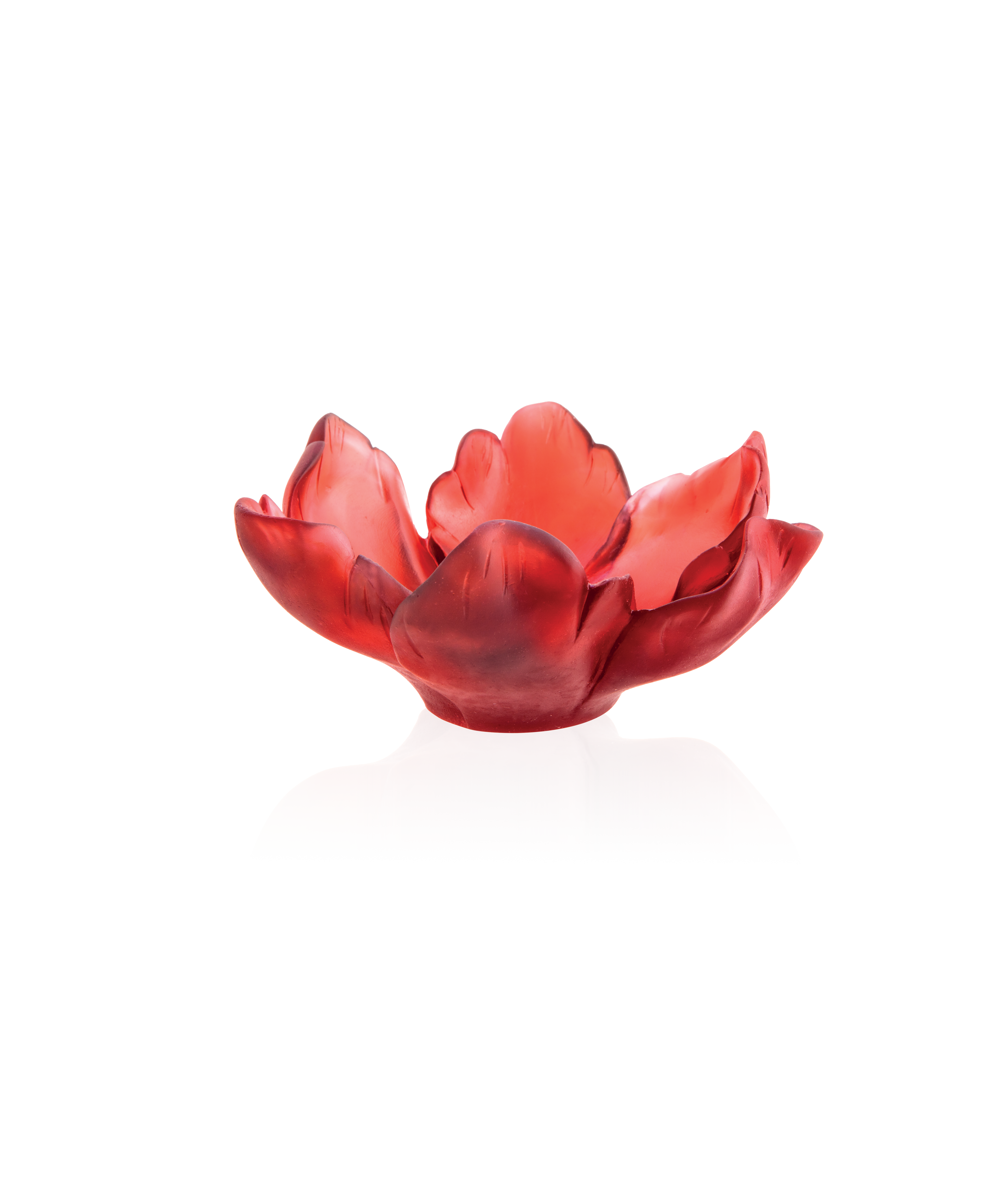 daum-univers-v-g-tal-tulipe-coupelle-rouge-cristal image 1