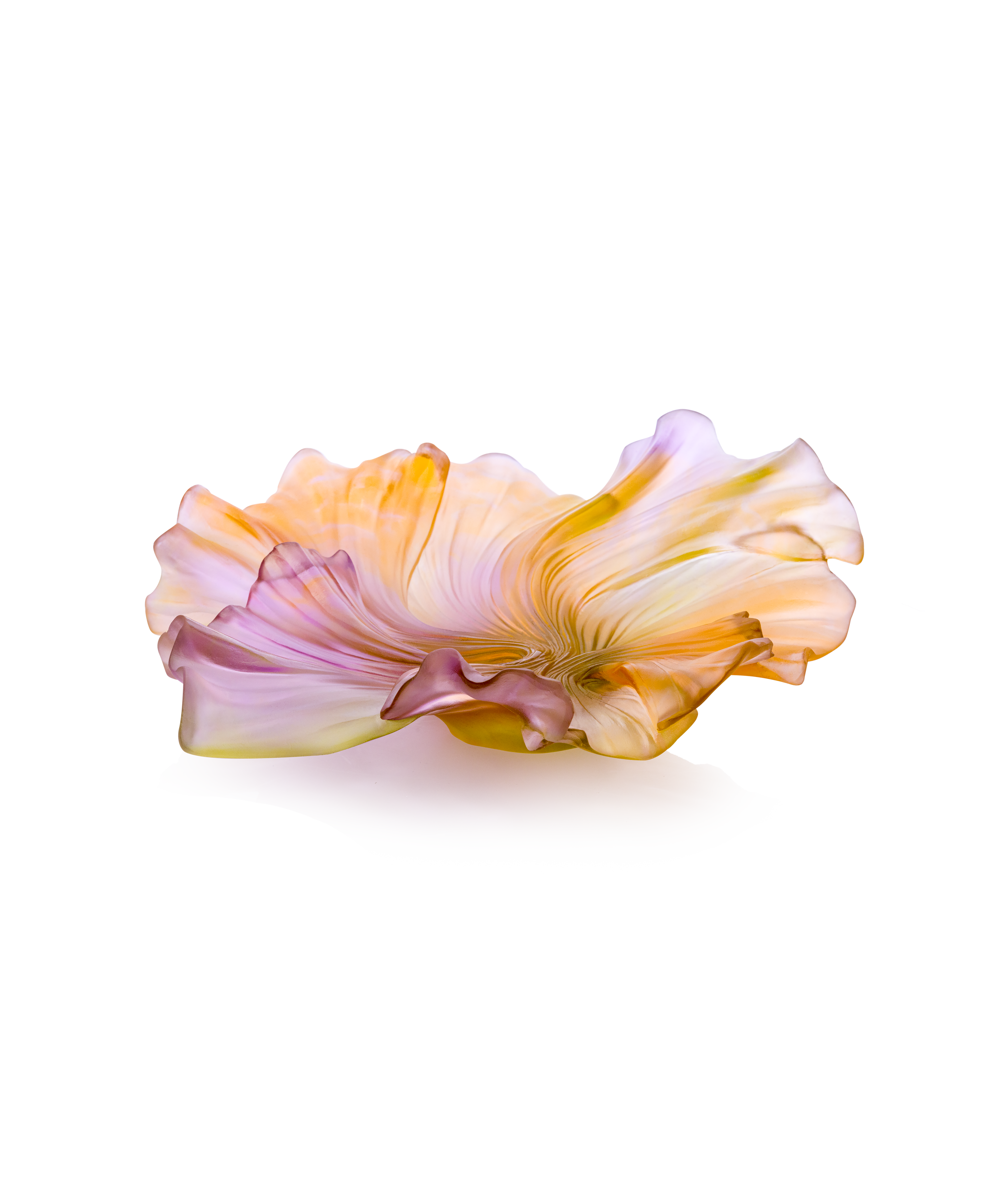 daum-univers-v-g-tal-croisi-re-coupe-moyen-mod-le-rose image 1