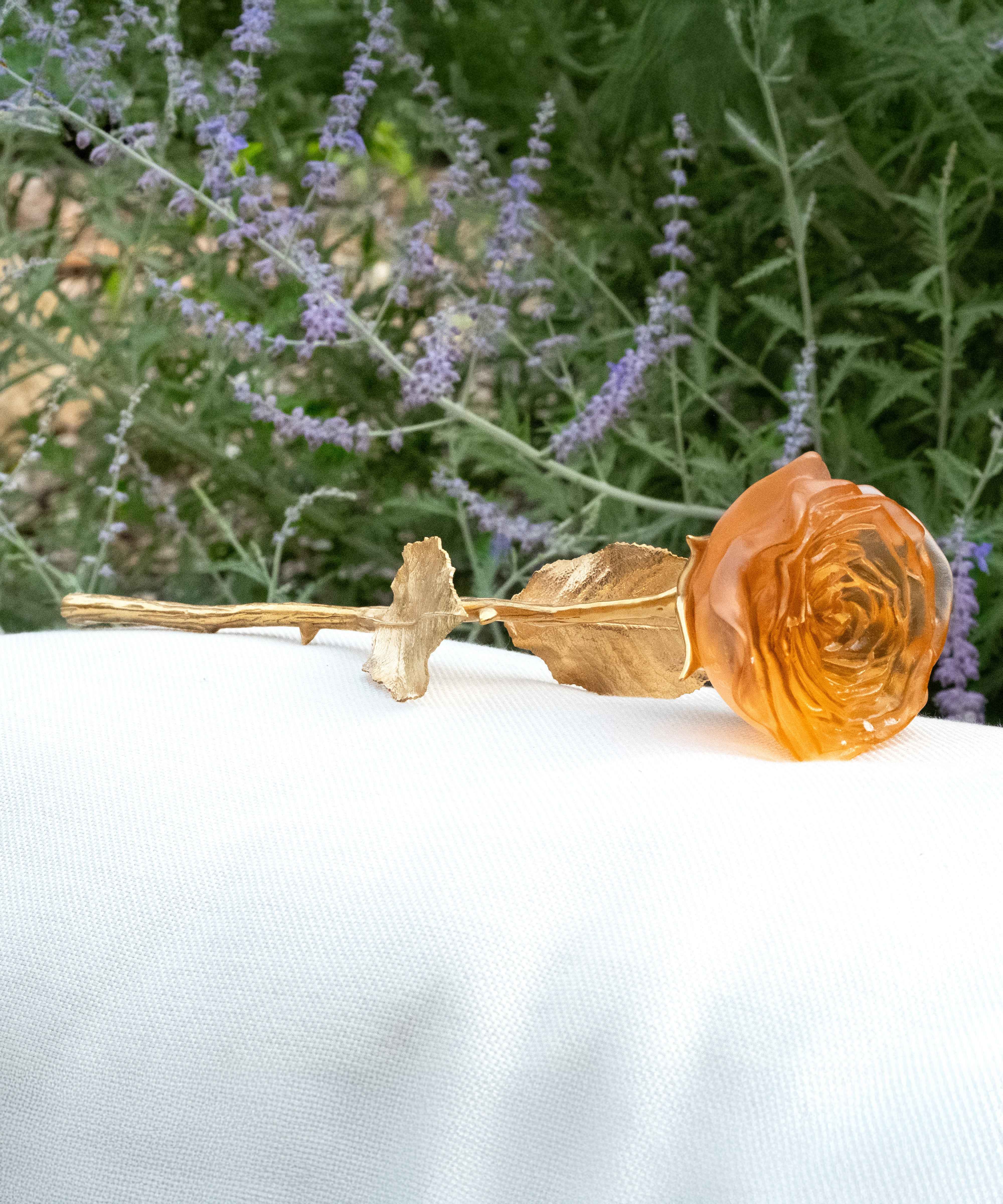 daum-univers-v-g-tal-rose-eternelle-orange-cristal image 2