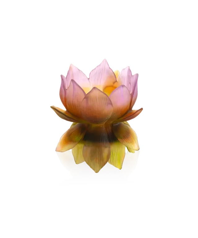 daum-univers-v-g-tal-jardin-de-lotus-vase-moyen-175-ex image 1