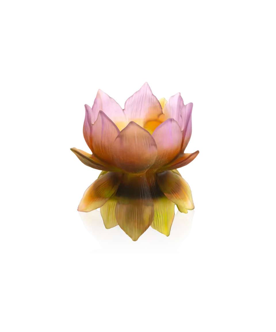 daum-univers-v-g-tal-jardin-de-lotus-vase-moyen-175-ex image 1