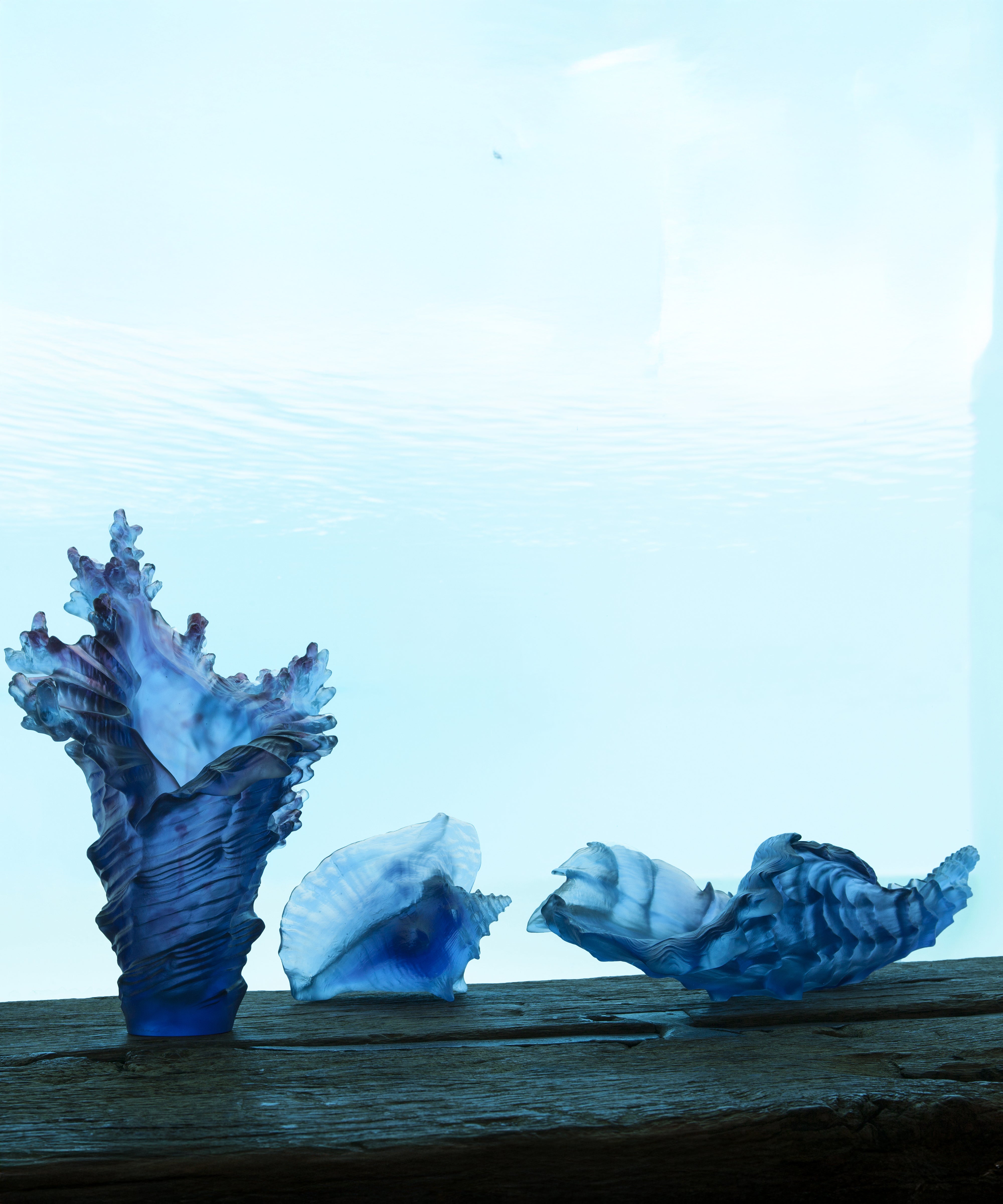 daum-univers-animalier-mer-de-corail-coquillage-conque-cristal image 3