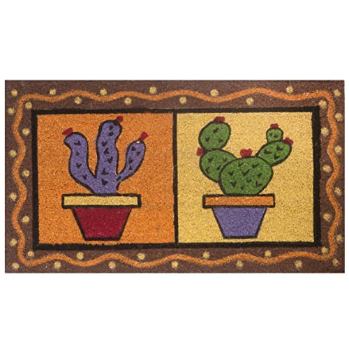 baroni-home-tapis-paillasson-coco-cactus-couleurs-vives-70x40 image 5