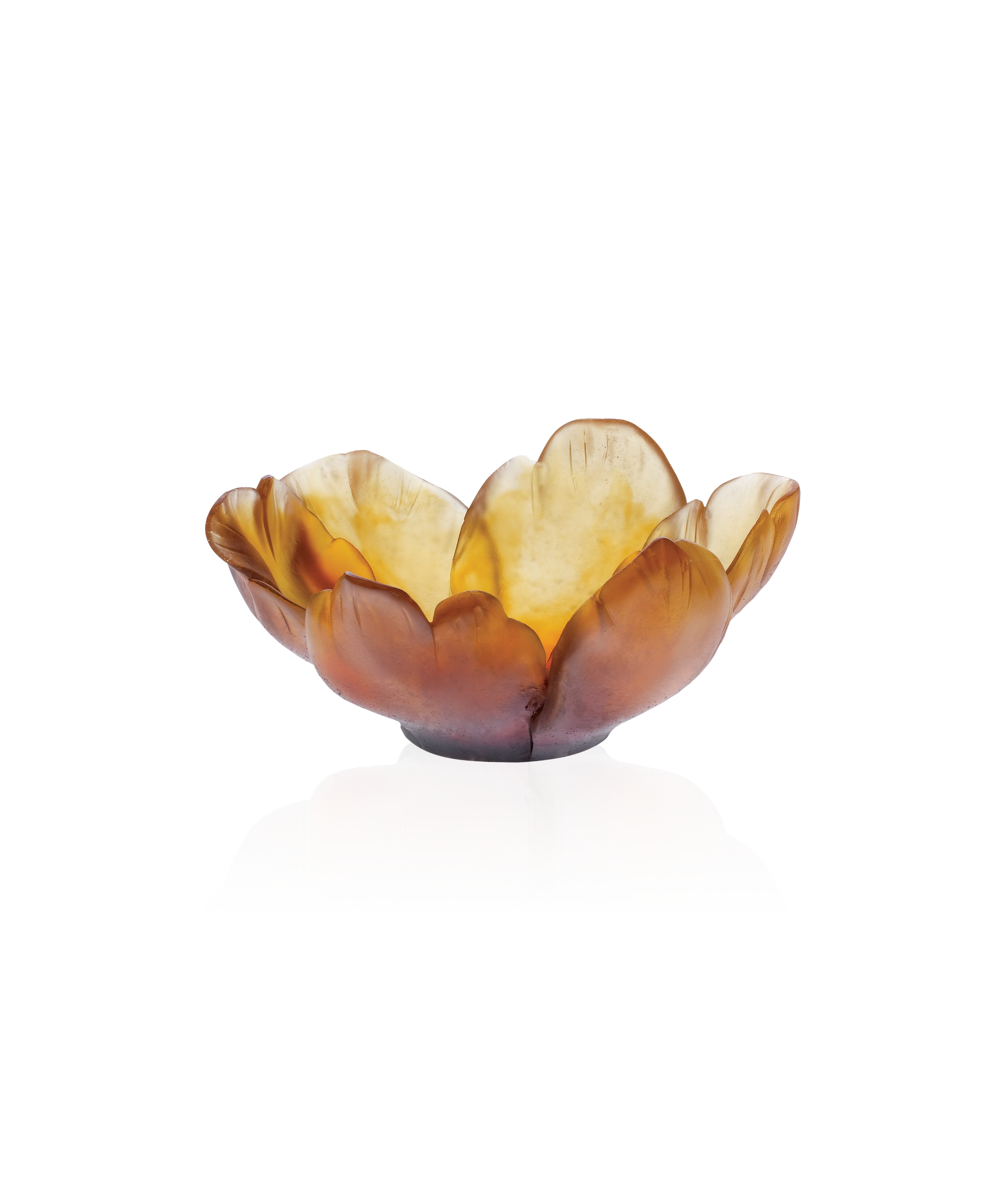 daum-univers-v-g-tal-tulipe-coupelle-ambre image 1