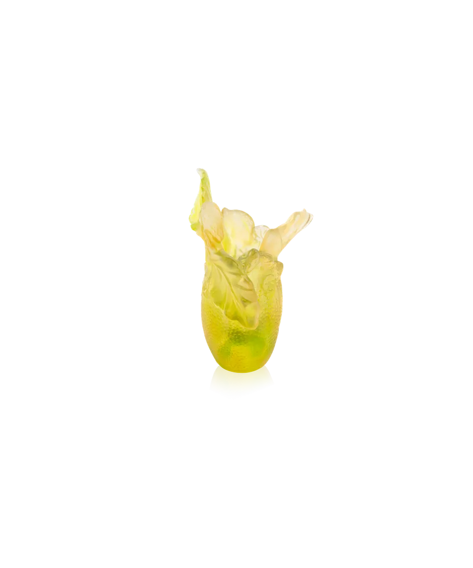 daum-univers-v-g-tal-citrus-vase-petit-mod-le-cristal image 1