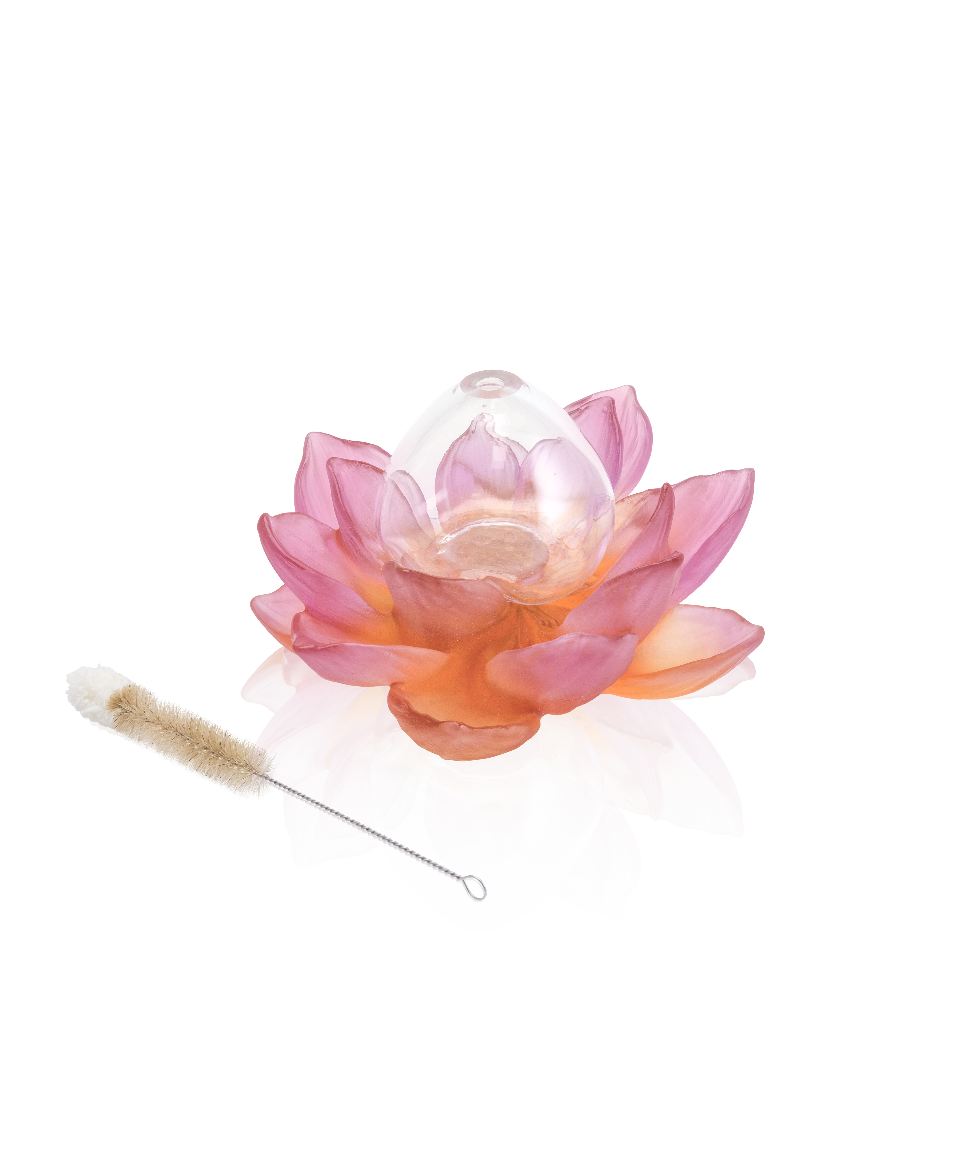 daum-univers-v-g-tal-jardin-de-lotus-soliflore-ambre-rose image 3