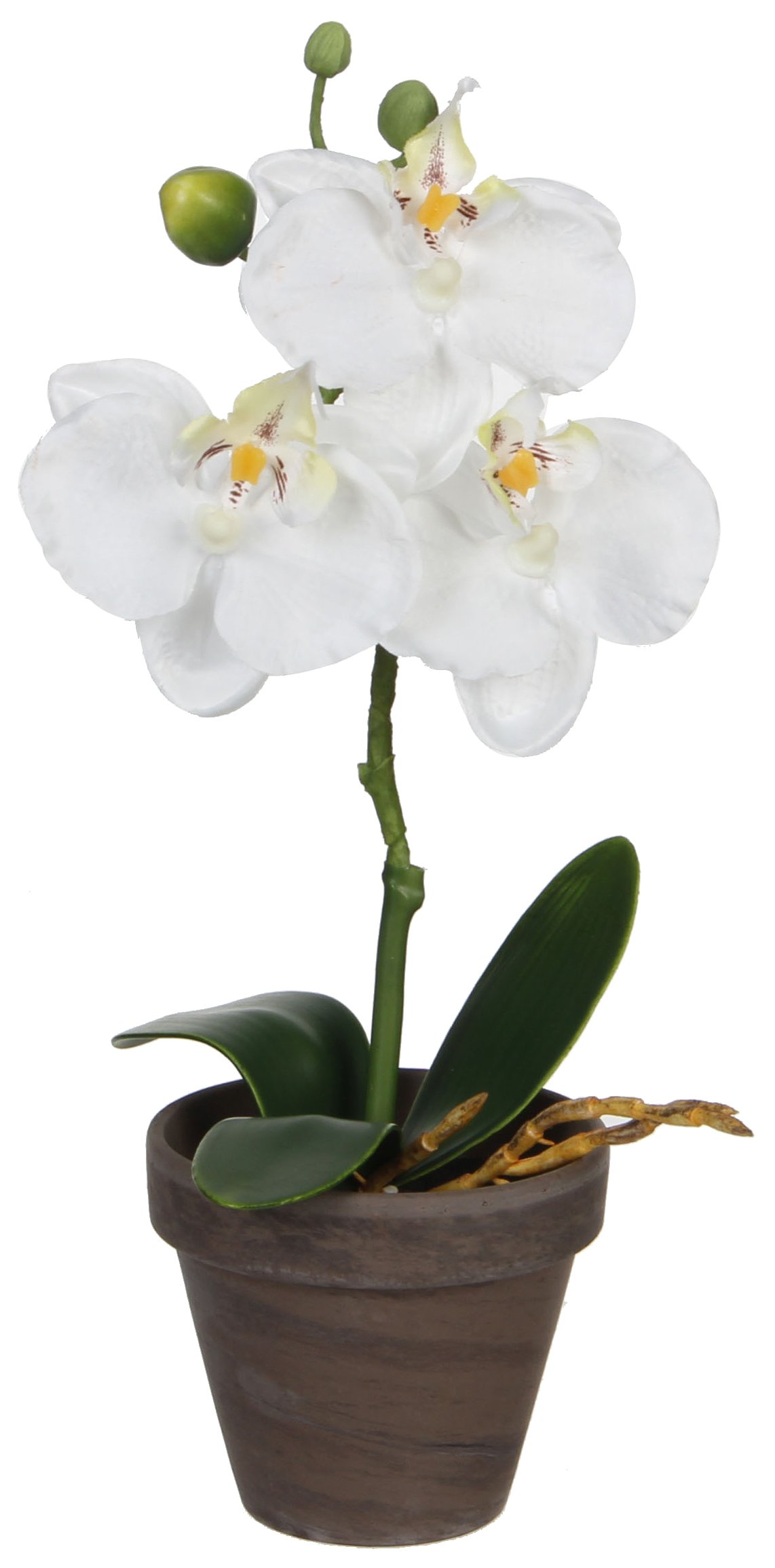 mica-decorations-phalaenopsis-orchid-e-artificielle-cr-me-66-cm image 6