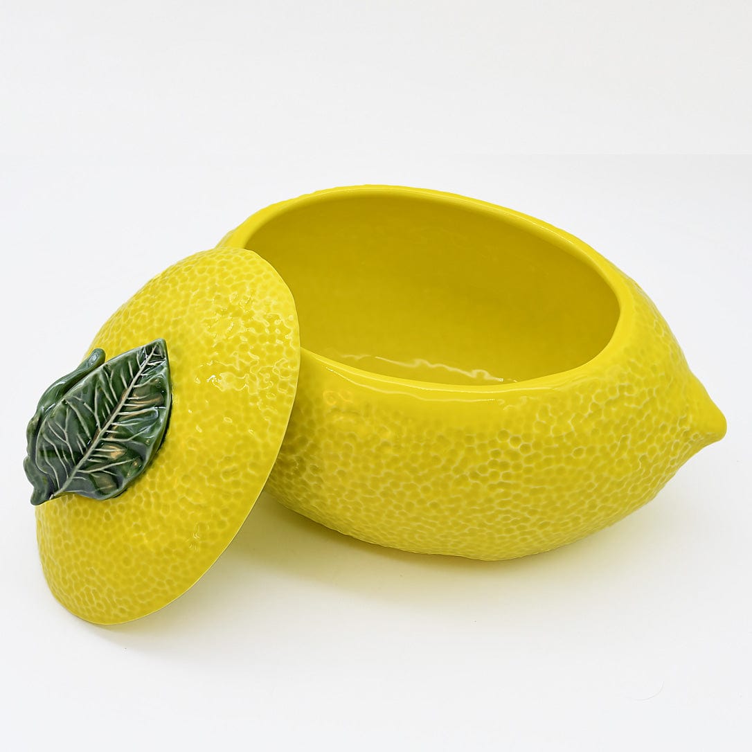 luisa-paix-o-citron-terrine-c-ramique-couvercle-peinte-main image 4