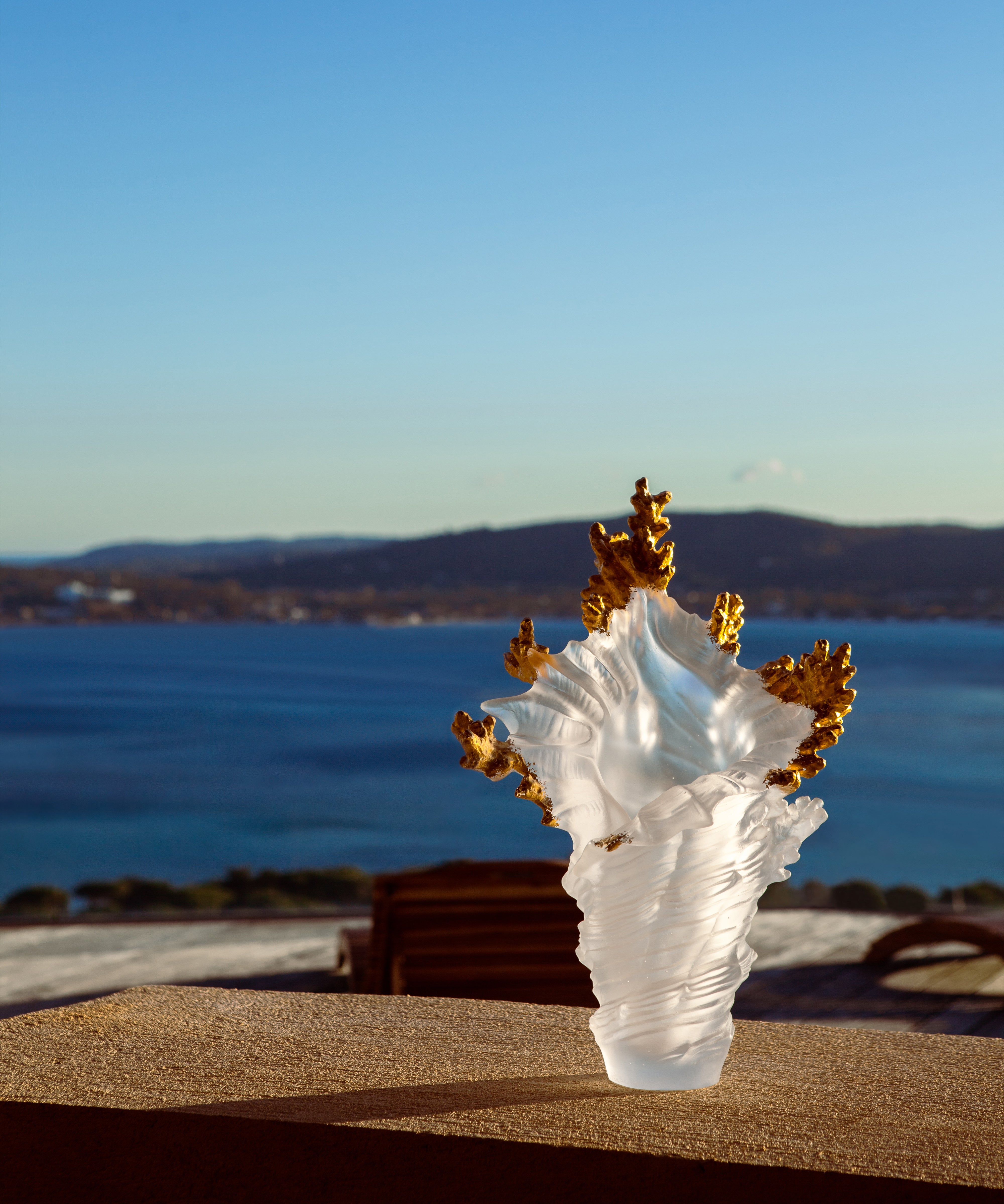 daum-mer-de-corail-vase-grand-mod-le-blanc-cristal image 6