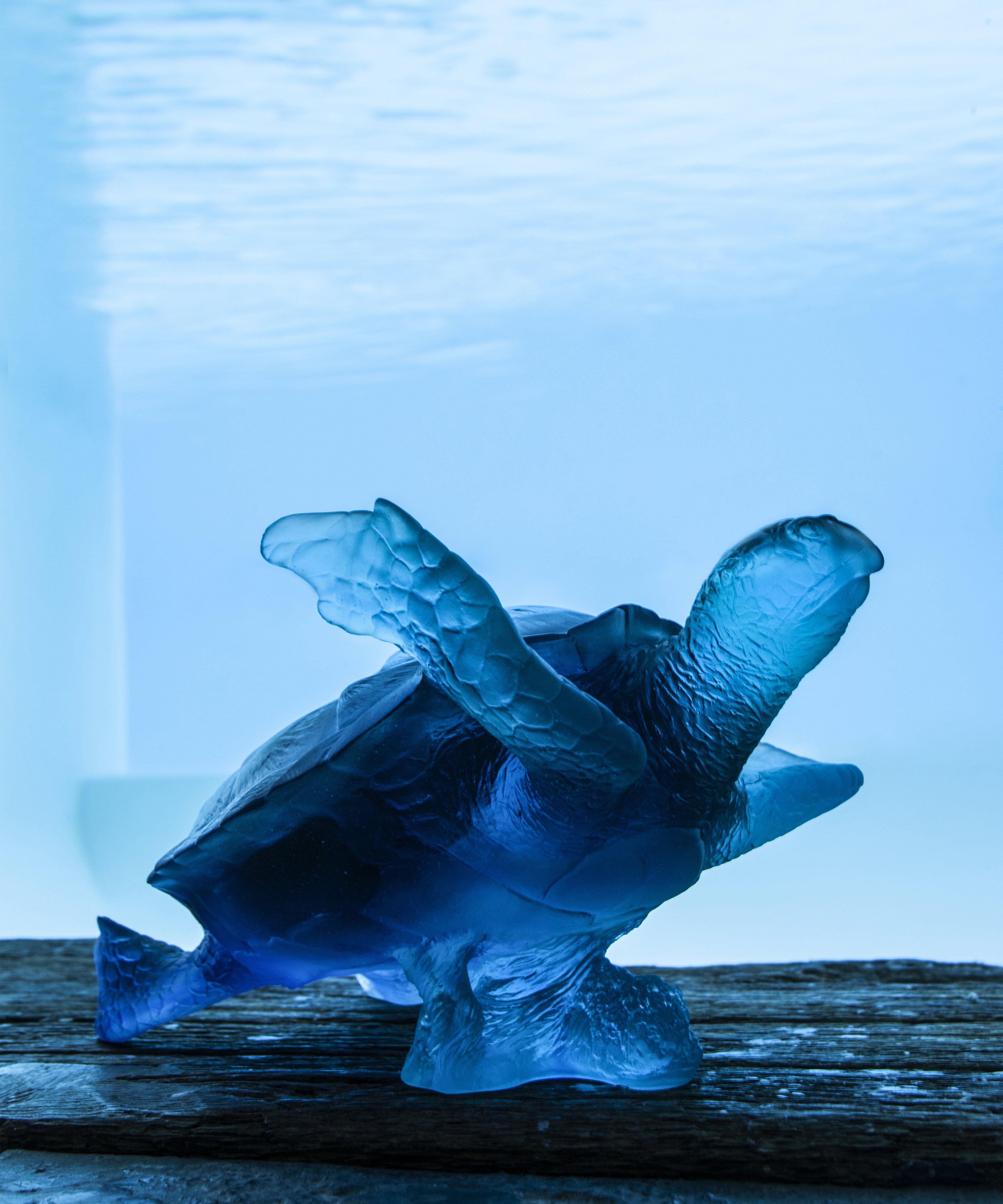 daum-mer-de-corail-tortue-sculpture-bleue-grand-mod-le image 4