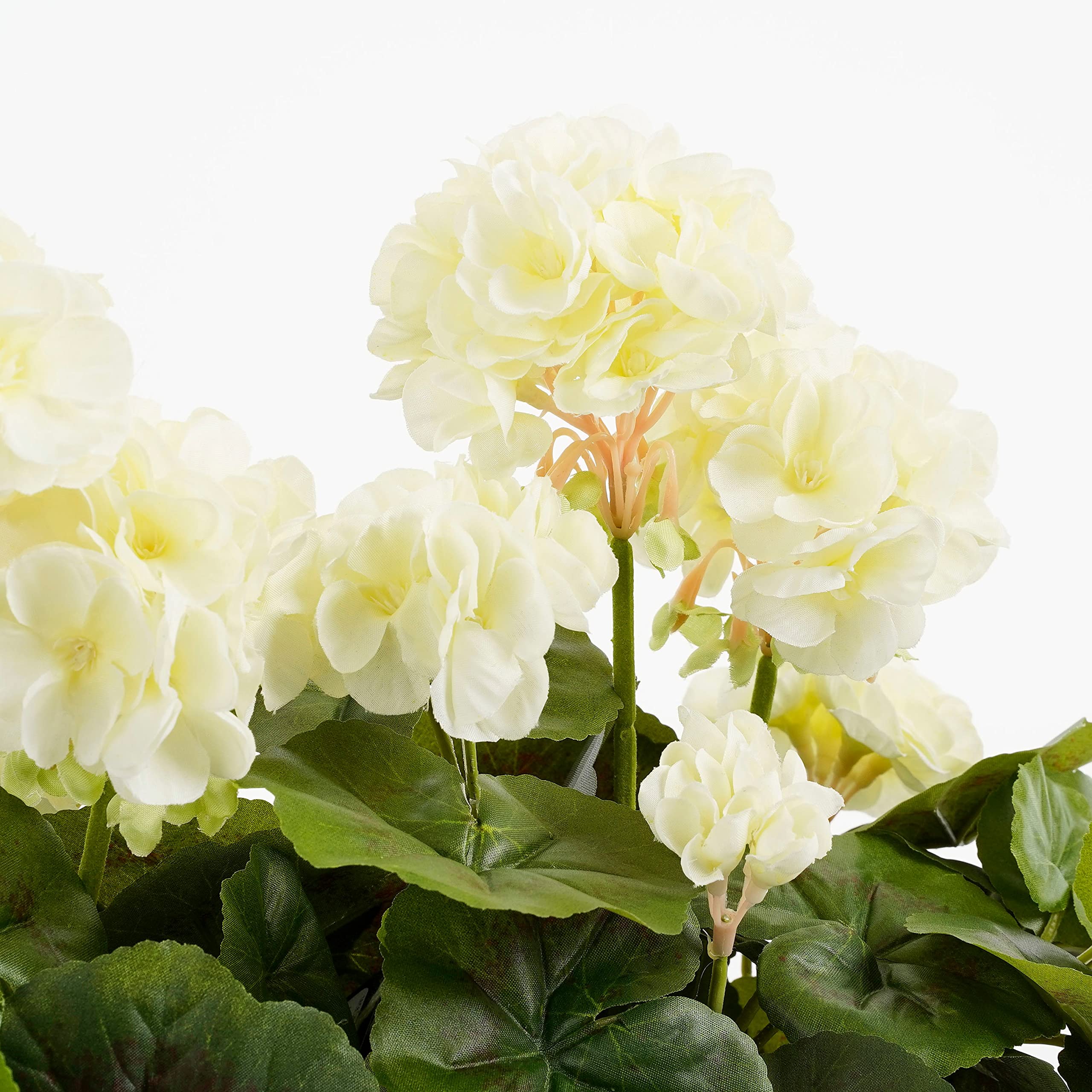 mica-decorations-g-ranium-plante-artificielle-blanc-29-cm-terre-cuite image 2