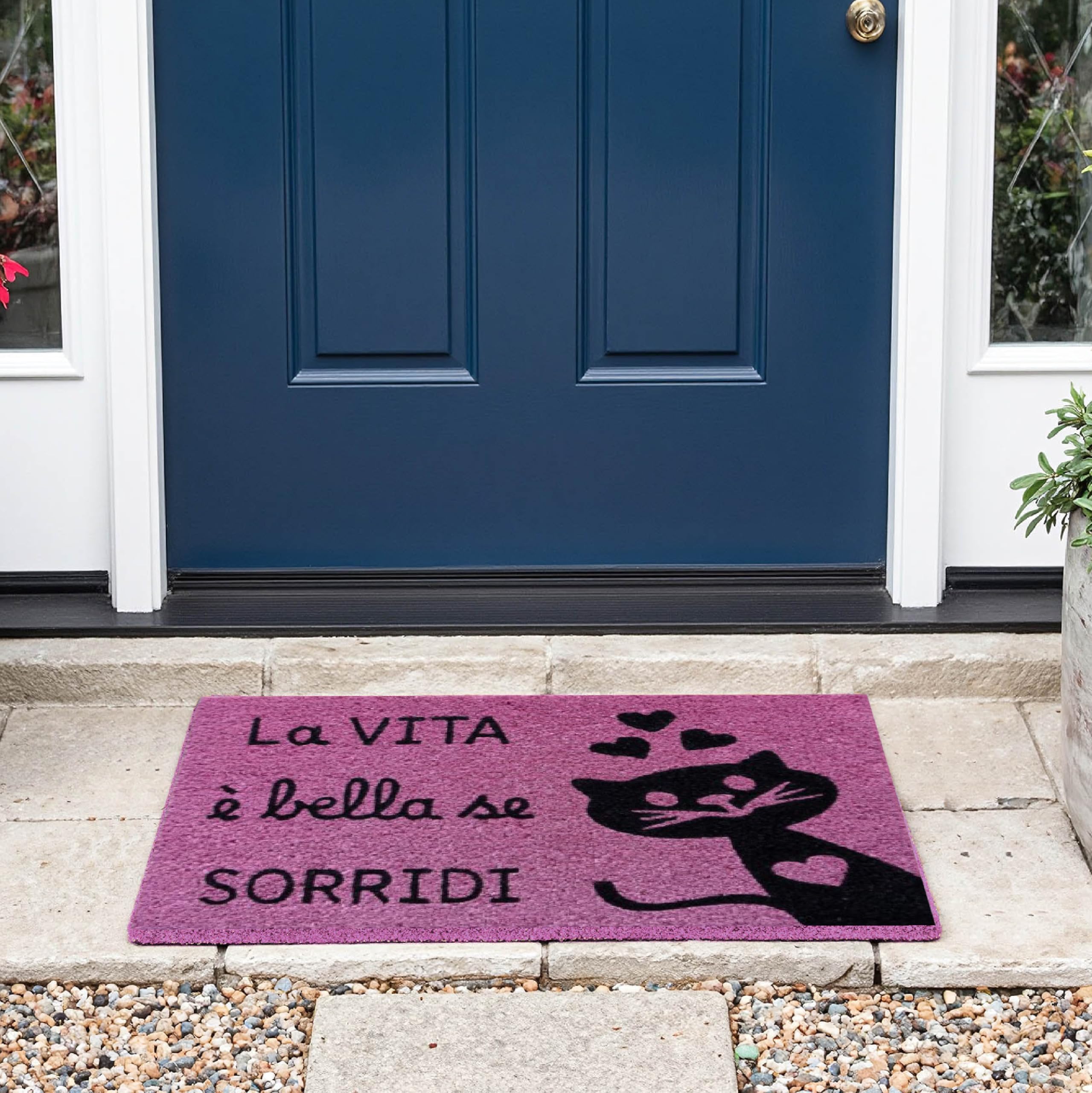 baroni-home-tessile-casa-paillasson-coco-rose-60x38-cm image 2