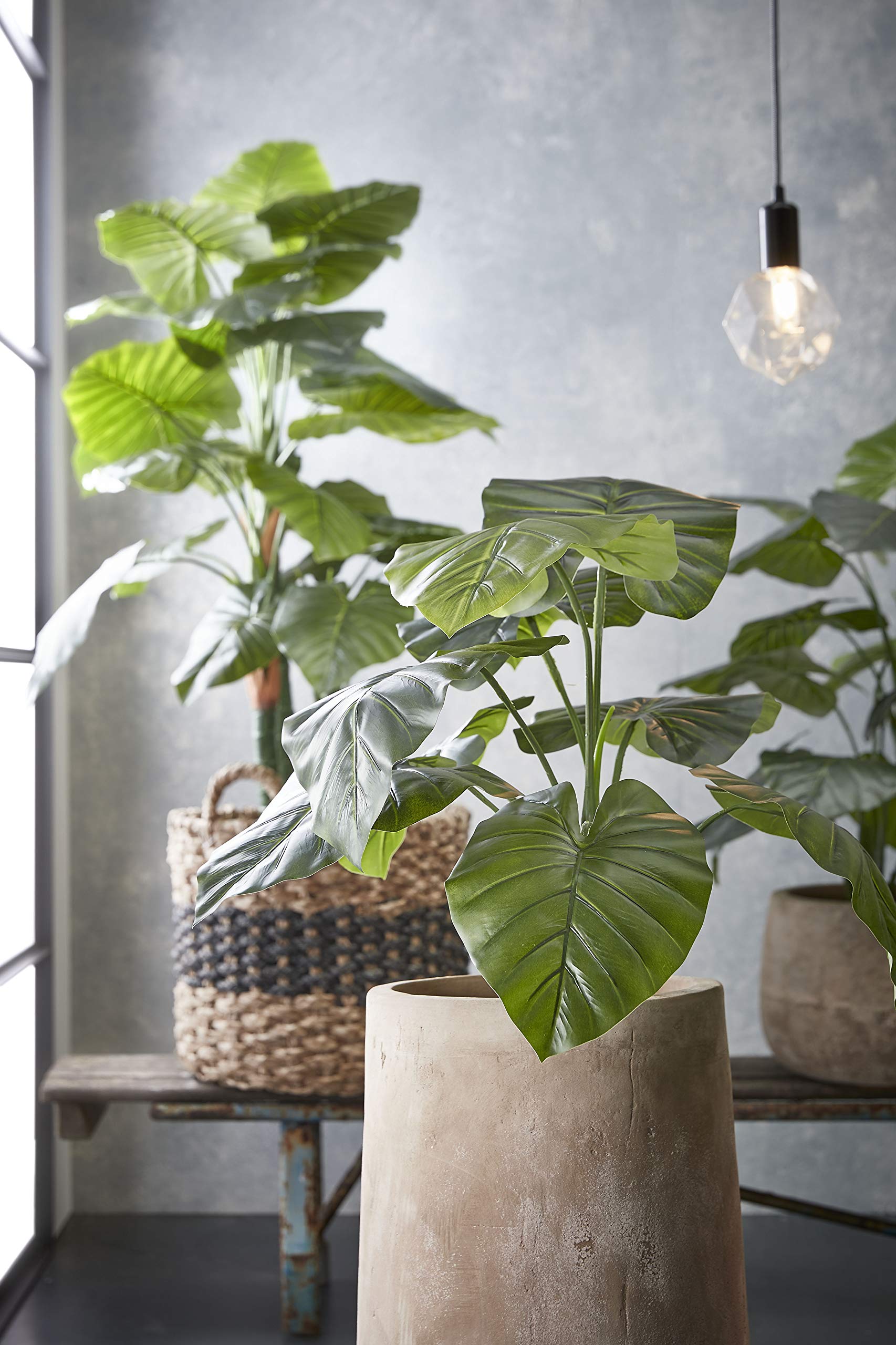 mica-decorations-taro-plante-artificielle-130-cm-vert image 5